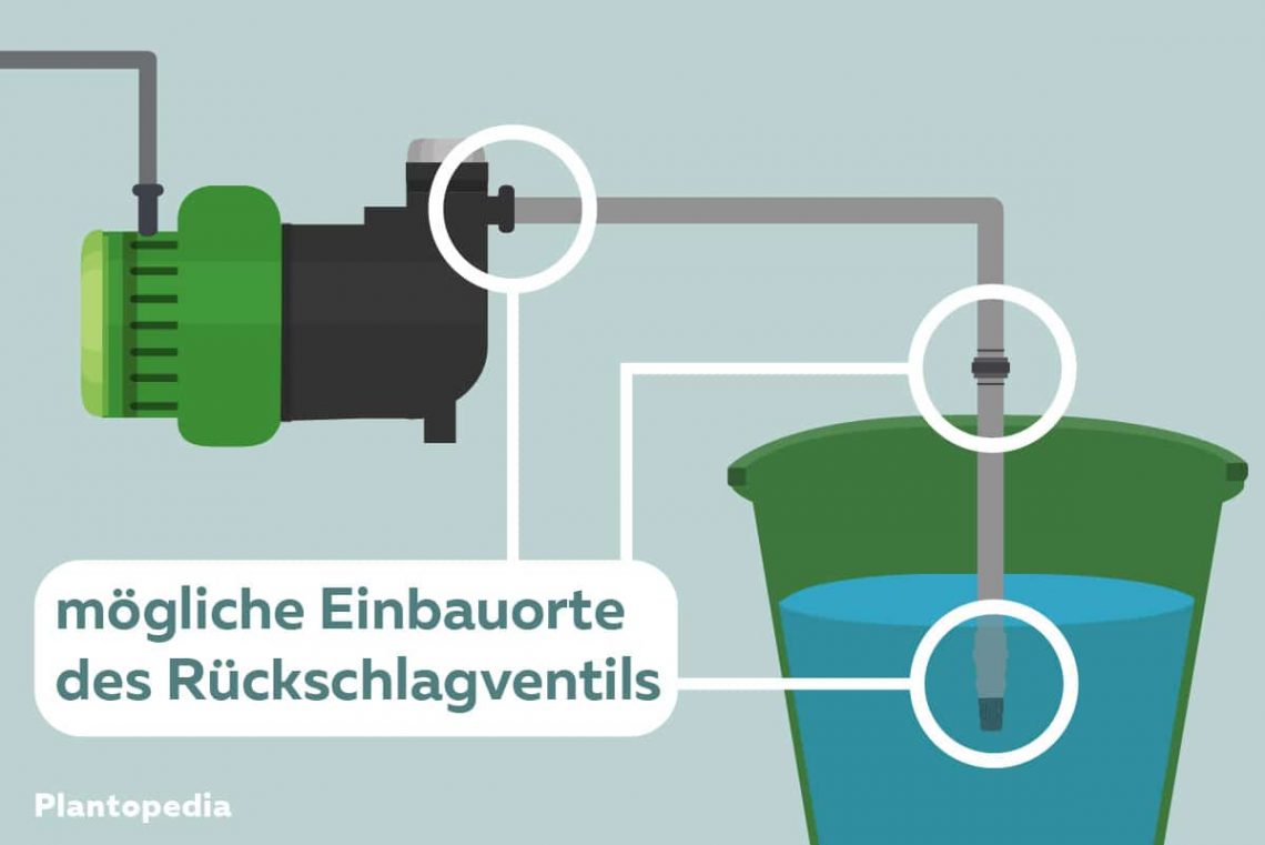 R Ckschlagventil F R Gartenpumpe Einbauen