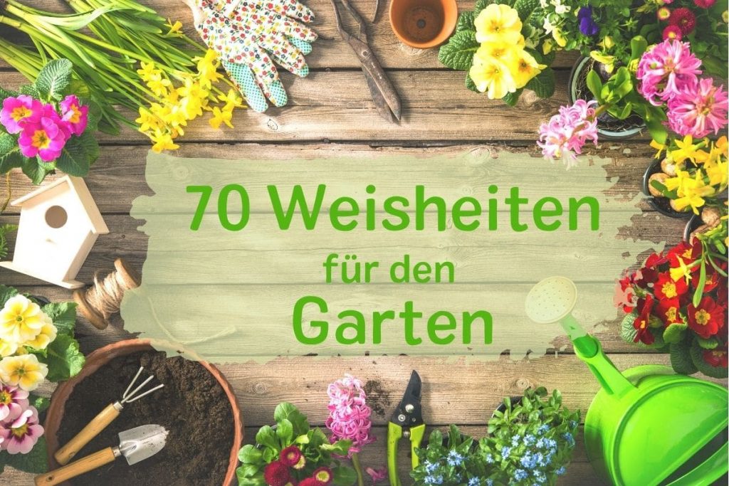 Sprüche für den Garten 70 Weisheiten