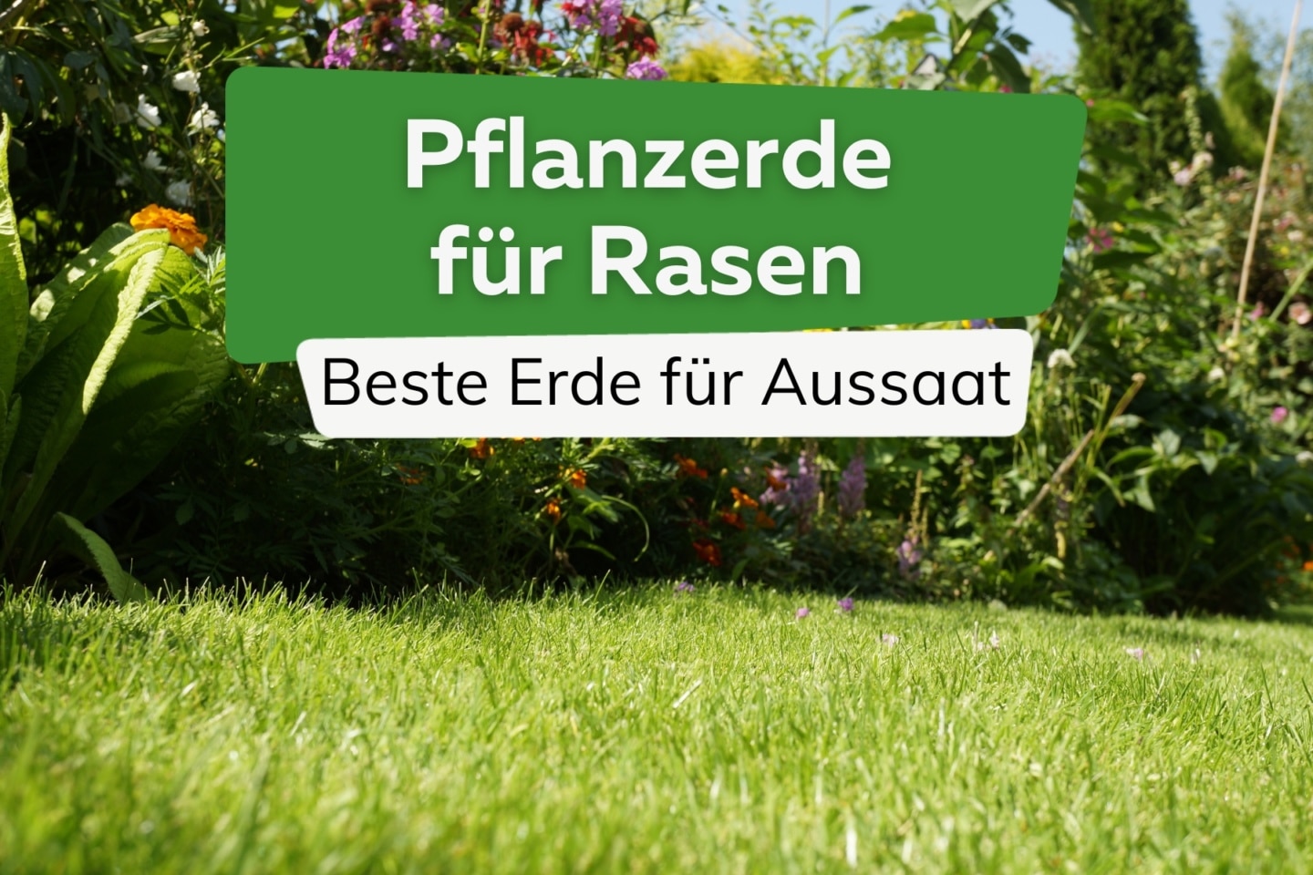 Pflanzerde Für Rasen