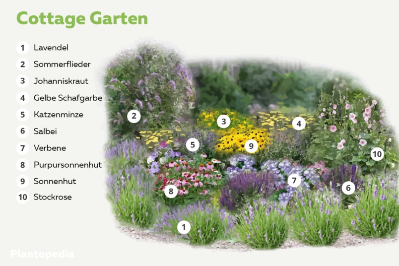 Cottage Garten Pflanzplan