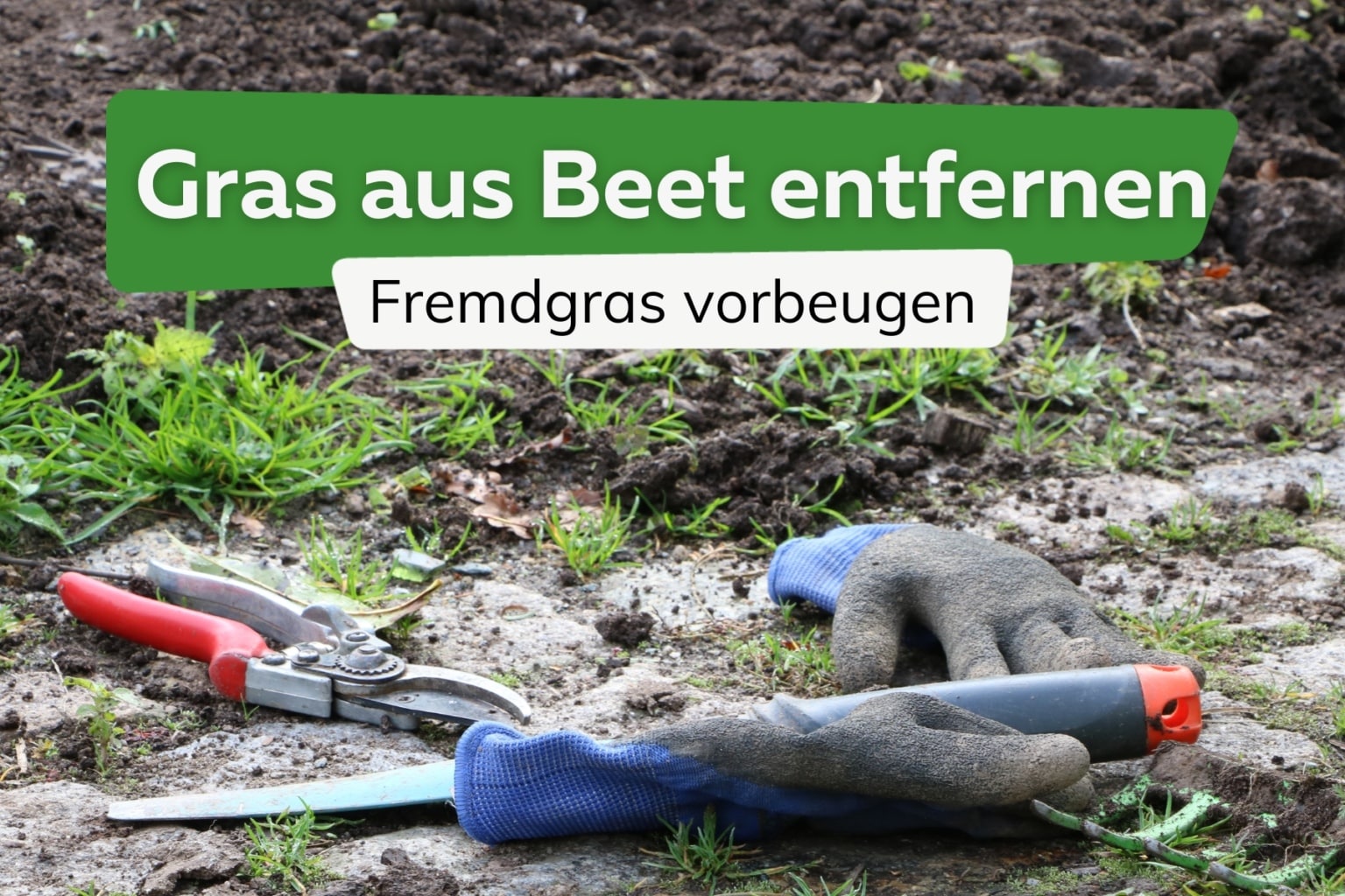 Gras Im Beet Entfernen