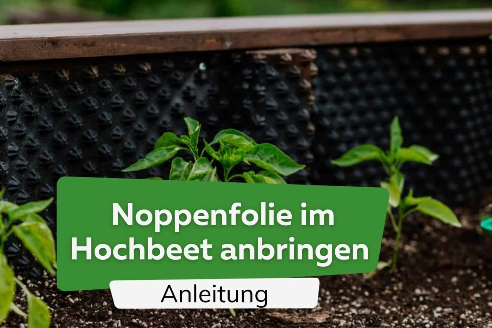 Hochbeet Noppenfolie Anbringen